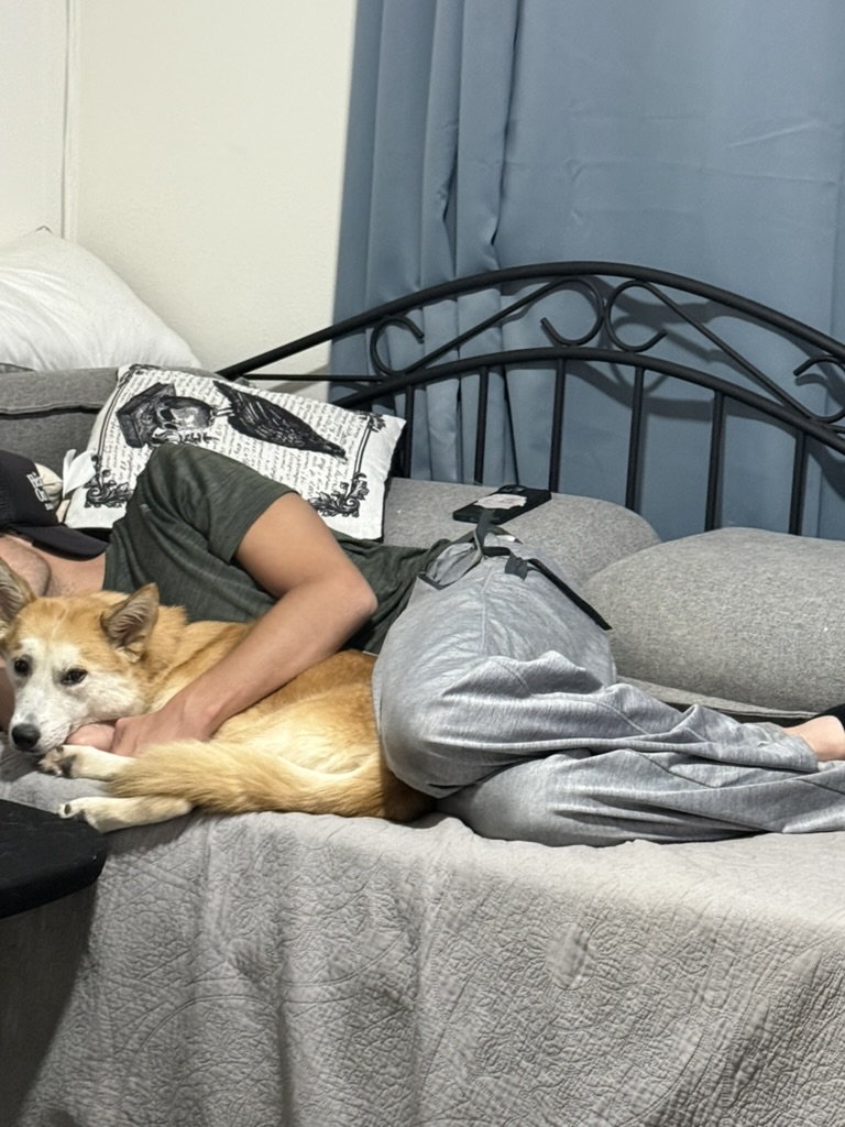Miso snuggling closely with a person