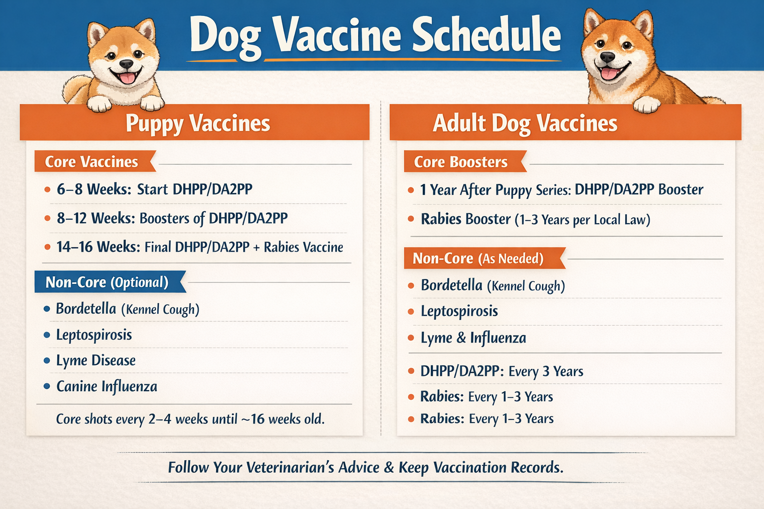graphic table showing appropriate dog and puppy vaccine schedule